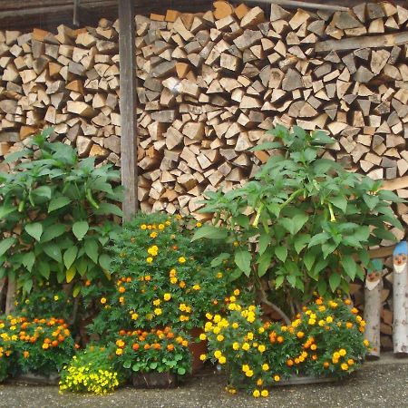 Pension Puhringer Мондзее Экстерьер фото